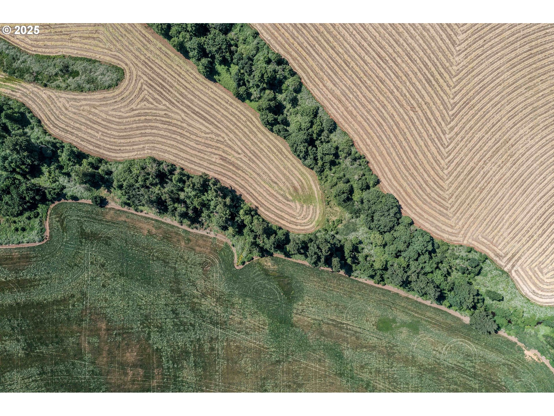 Anderson Road, Unit 100 Sublimity, OR 97385 - Photo 9 of 24