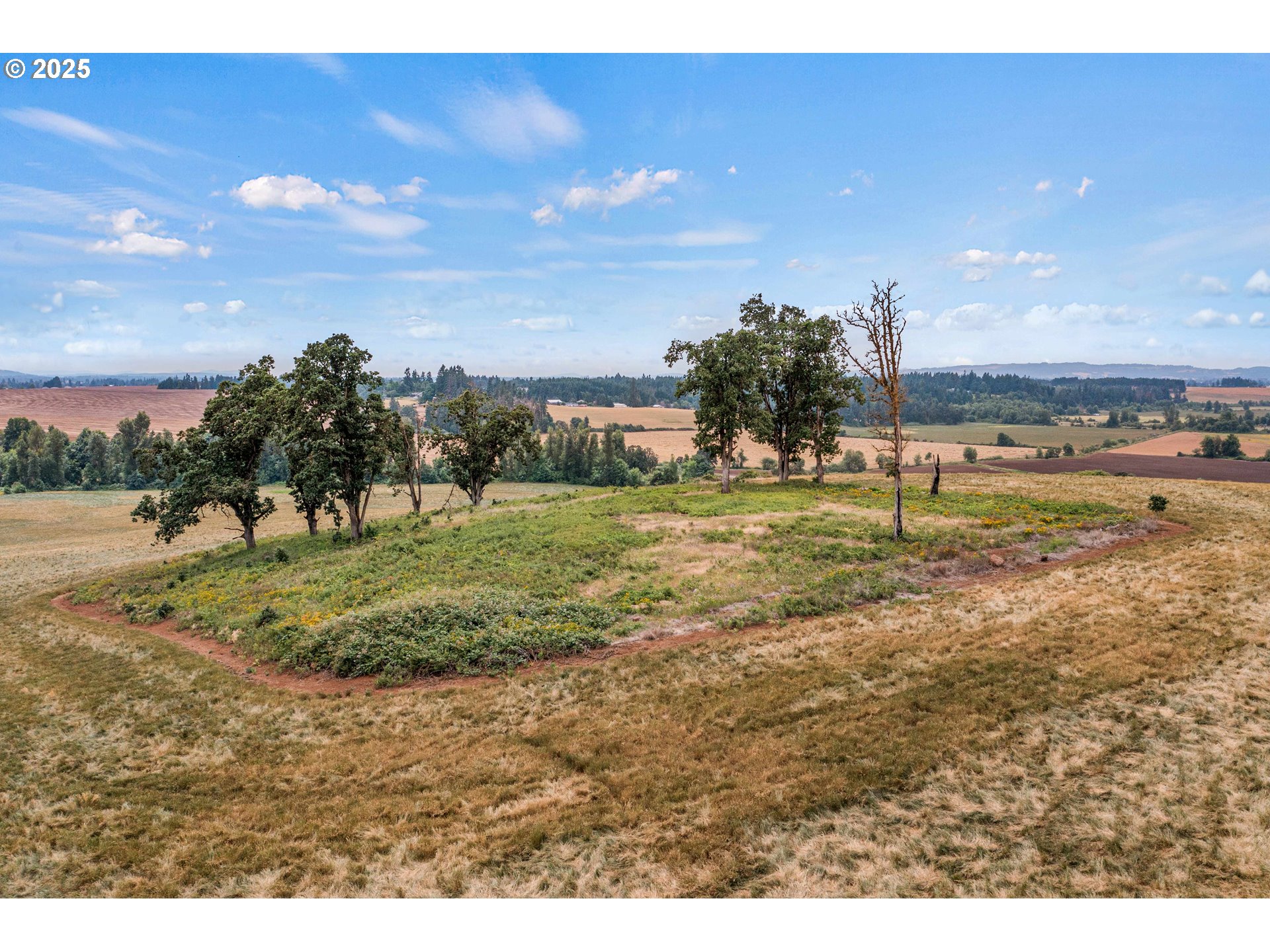 Anderson Road, Unit 100 Sublimity, OR 97385 - Photo 10 of 24