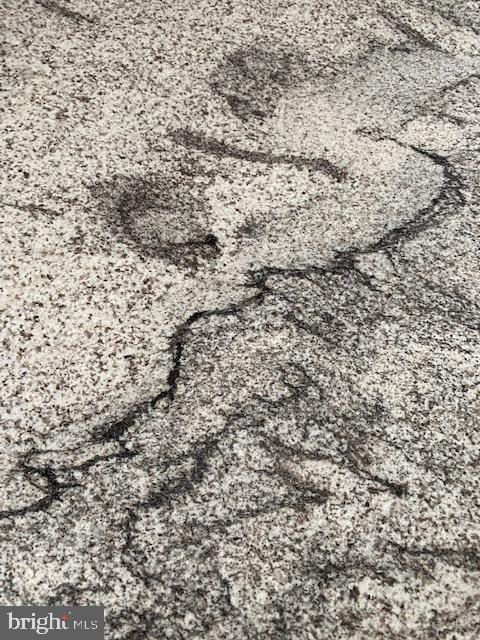 19 Boxwood Road Wilmington, DE 19804 - Photo 8 of 26 Leathered Granite with a smile :)