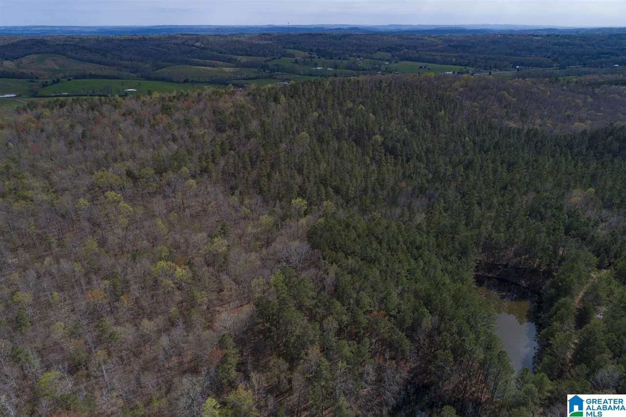0 Mount Road Blountsville, AL 35031 - Photo 7 of 17