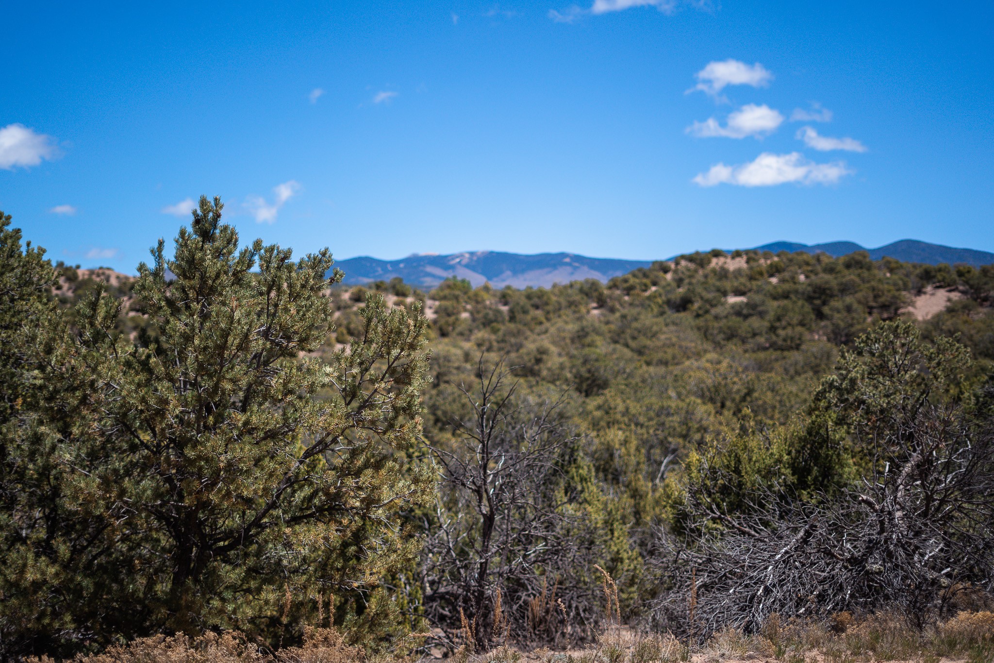 67-acres Red Ridge Santa Fe, NM 87501 - Photo 15 of 40 Middle Lot