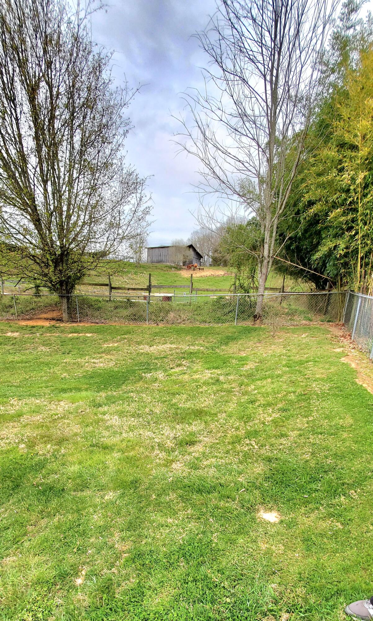 122 Fire Hall Road Fall Branch, TN 37656 - Photo 34 of 49 20220329_170659