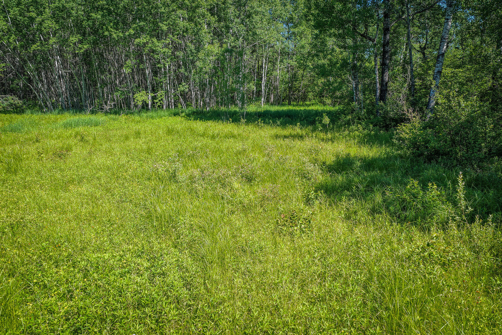 South North Hulbert Road Eckerman, MI 49728 - Photo 12 of 29 DJI_20260623030739_0015_D
