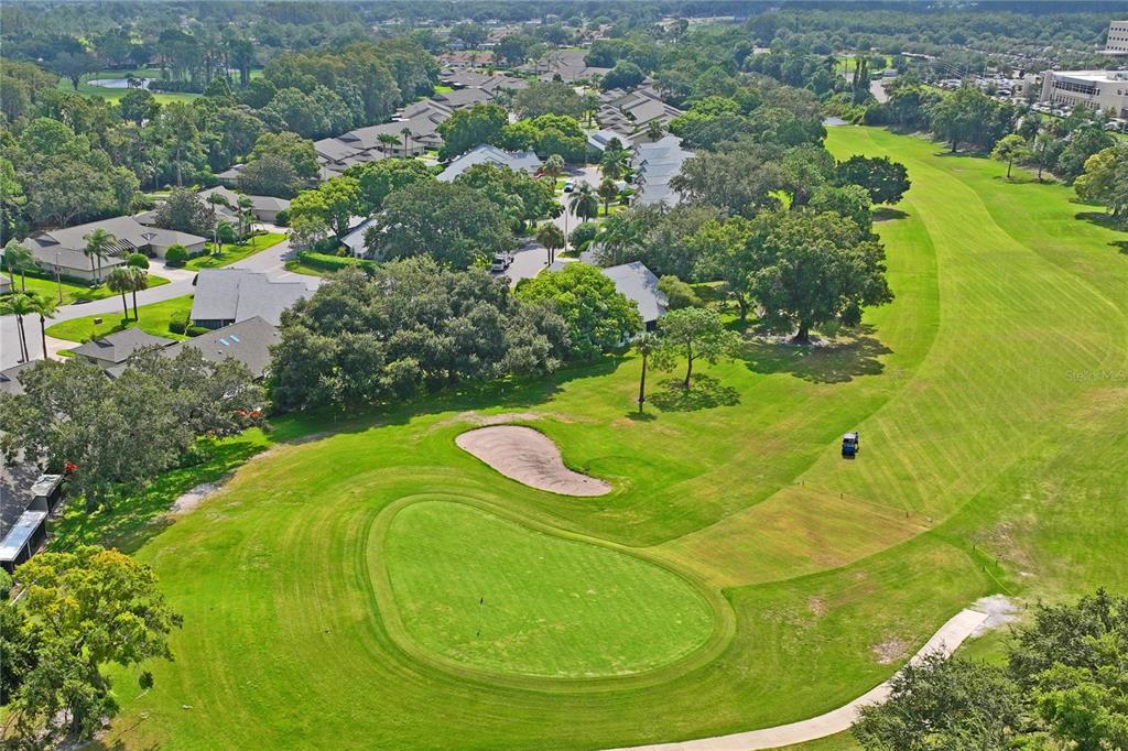9108 Bassett Lane, Unit B New Port Richey, FL 34655 - Photo 60 of 66 a view of a swimming pool