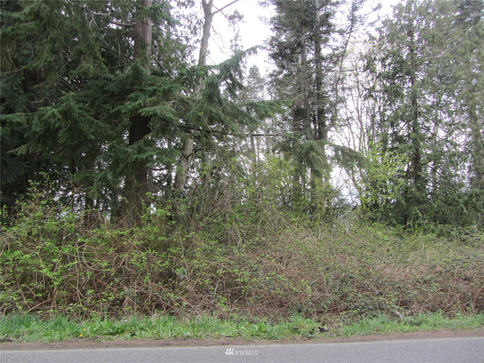 -xxx MacKenzie Road Bellingham, WA 98226 - Photo 1 of 6 Gallery Image 1
