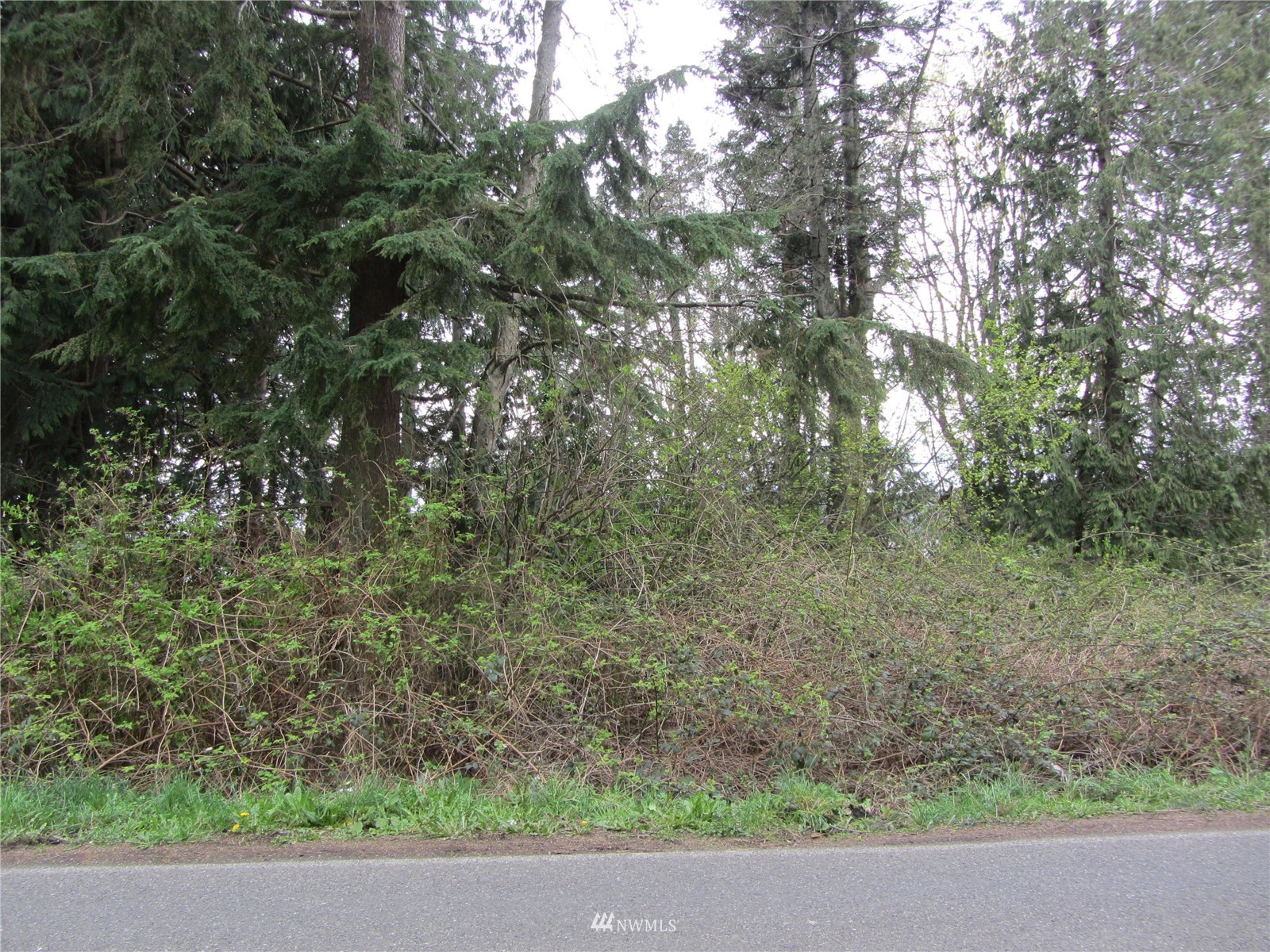 -xxx MacKenzie Road Bellingham, WA 98226 - Photo 2 of 6 Gallery Image 2