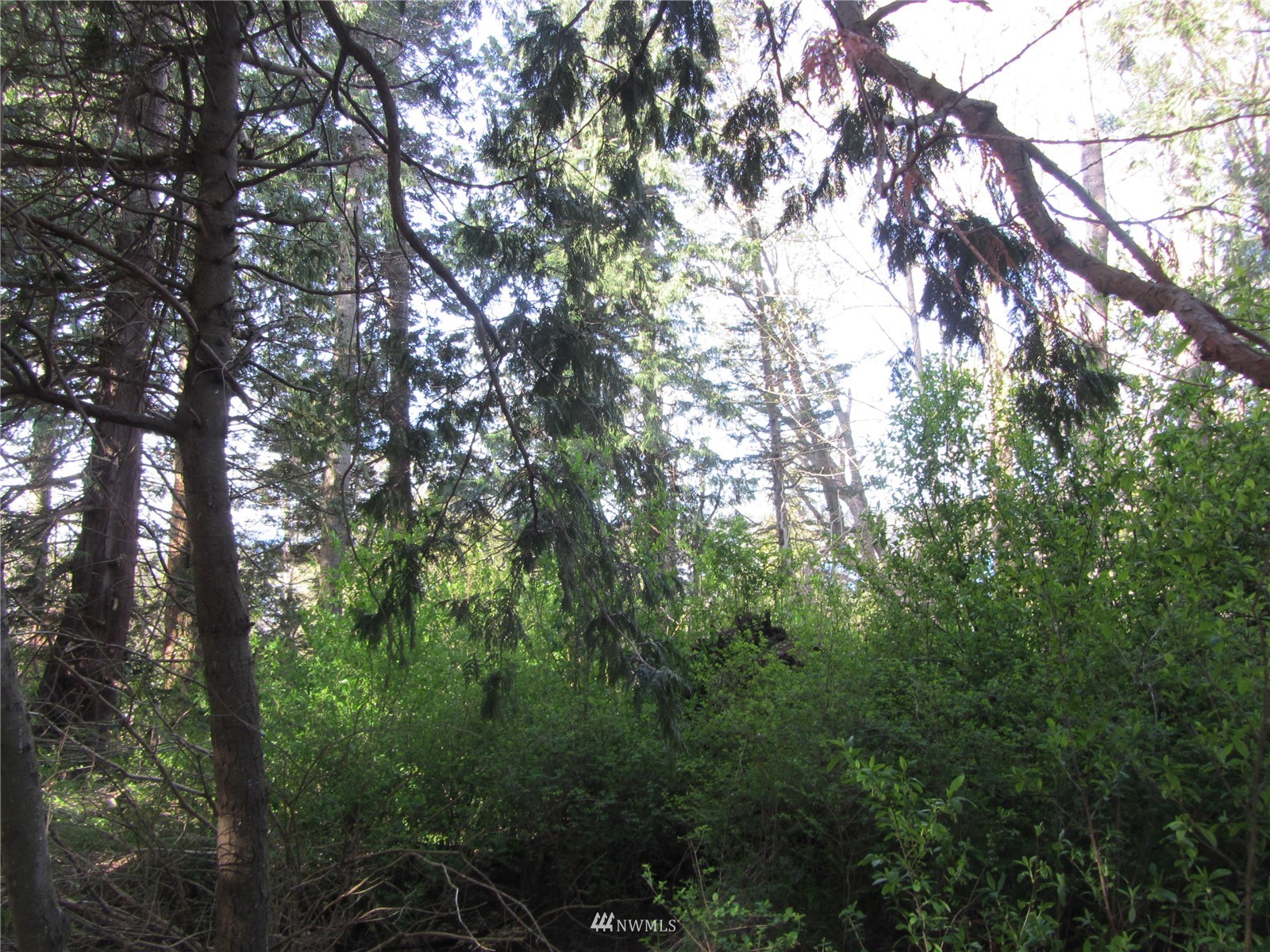 -xxx MacKenzie Road Bellingham, WA 98226 - Photo 3 of 6 Gallery Image 3