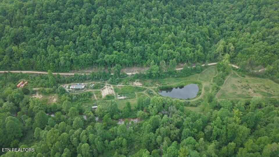 216 Lower Capuchin Road Newcomb, TN 37819 - Photo 10 of 16 att.fsYAtnUShJTyhHS6tVT2DTun2Vm1KTuqIQ01