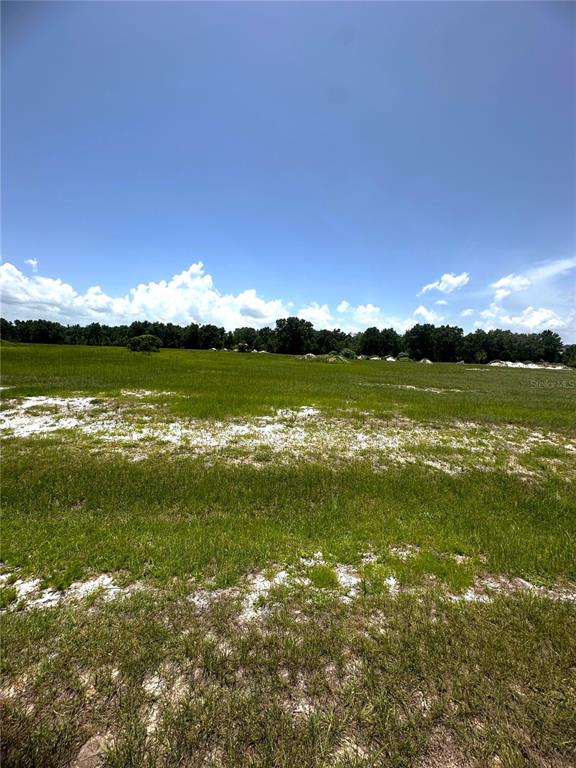 38793 Ranch Gate Boulevard Umatilla, FL 32784 - Photo 1 of 1 a view of an ocean from a yard