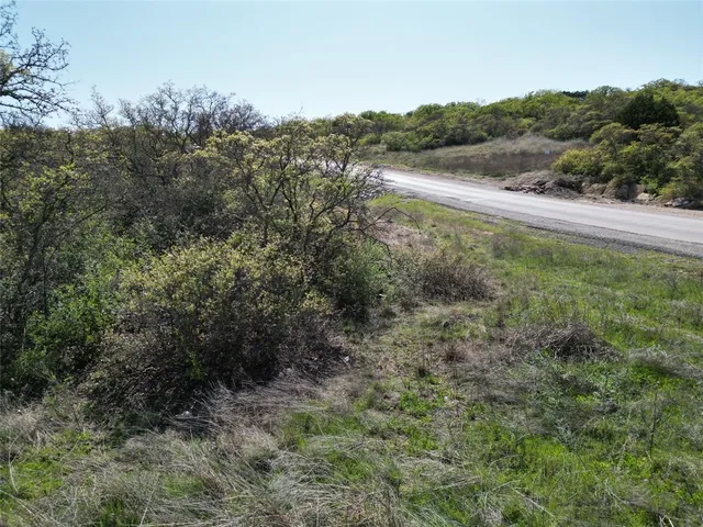 a view of a forest with trees in the background
