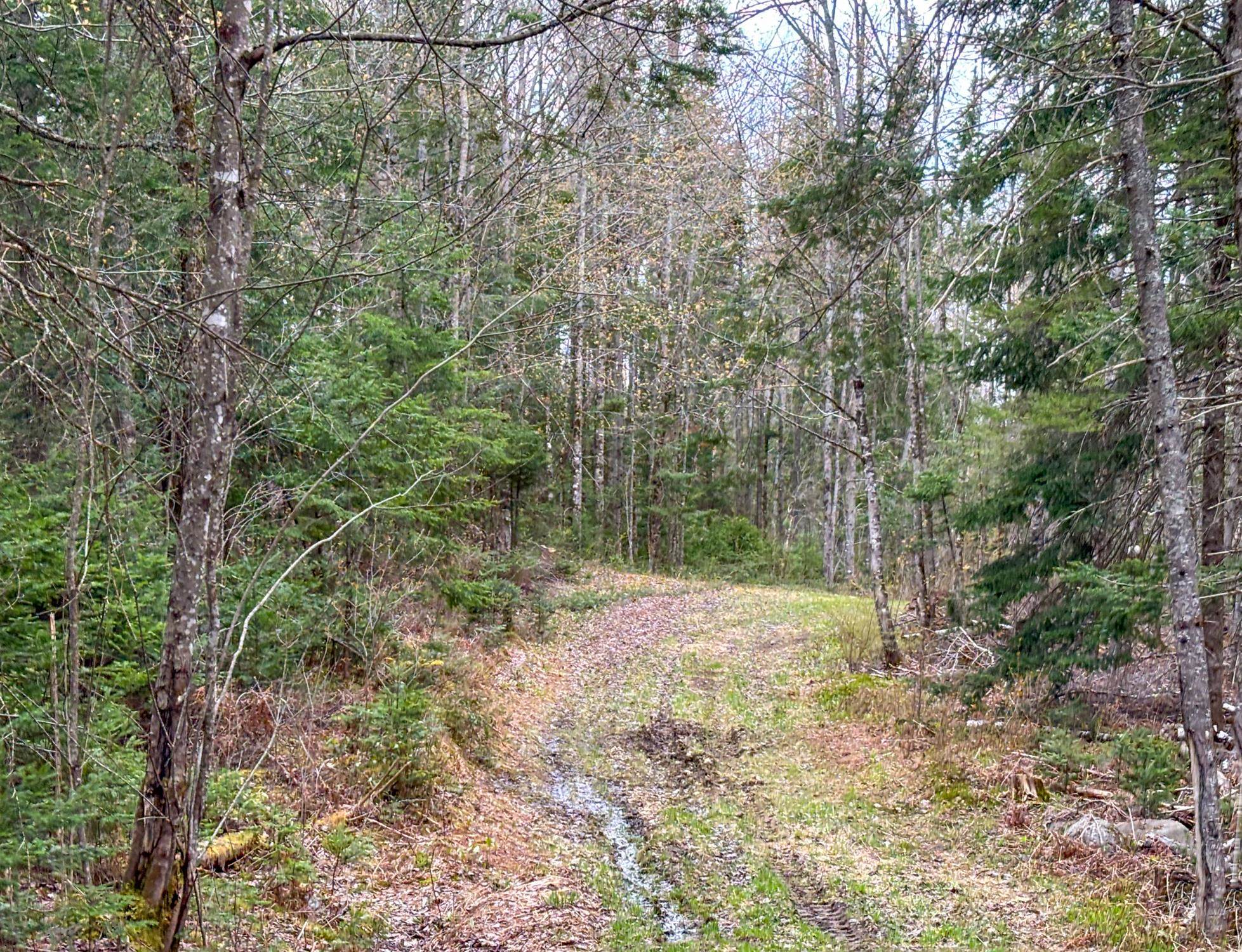 0 Atwood Drive, Unit 3 Island Pond, VT 05846 - Photo 11 of 12