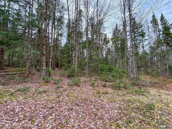 $110,000 | 0 Atwood Drive, Unit 3, Island Pond, VT 05846