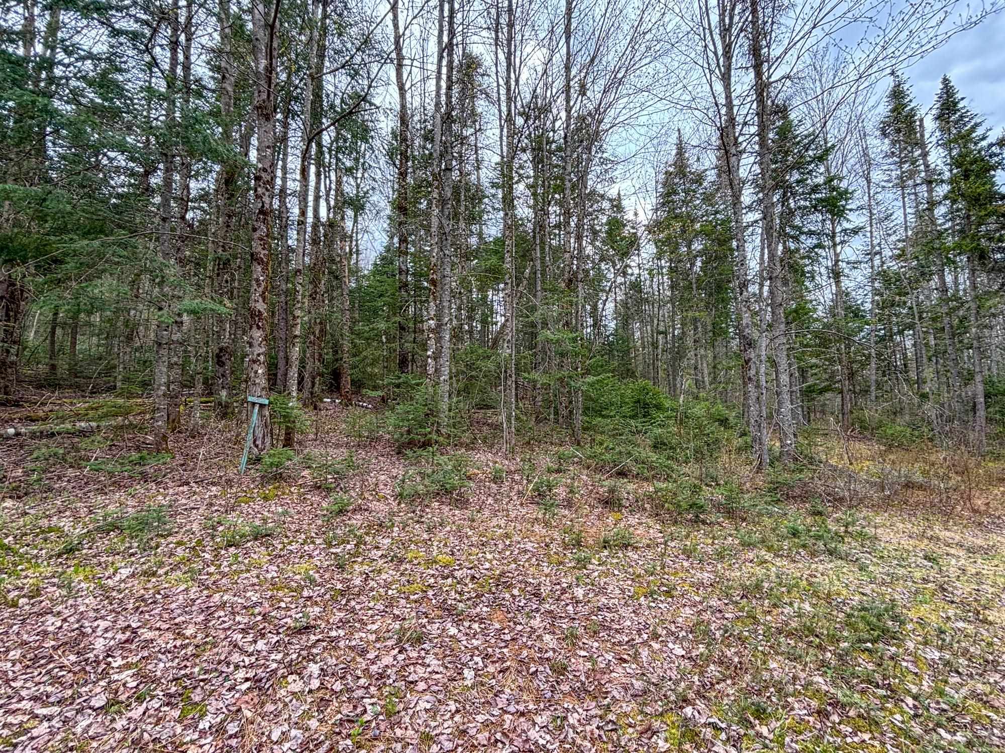 0 Atwood Drive, Unit 3 Island Pond, VT 05846 - Photo 12 of 12