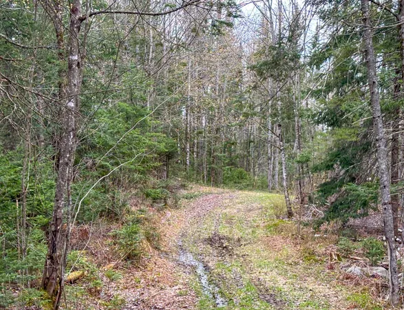 $110,000 | 0 Atwood Drive, Unit 3, Island Pond, VT 05846