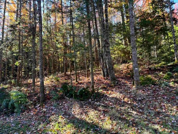 $110,000 | 0 Atwood Drive, Unit 3, Island Pond, VT 05846