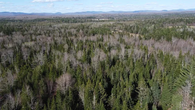 $110,000 | 0 Atwood Drive, Unit 3, Island Pond, VT 05846