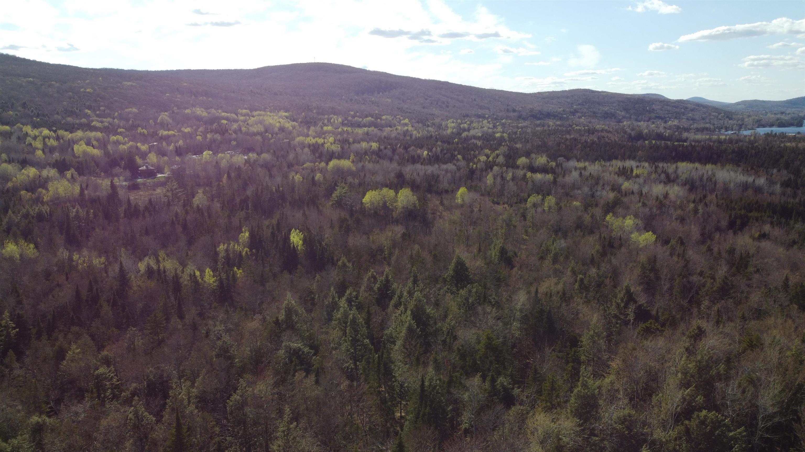 0 Atwood Drive, Unit 3 Island Pond, VT 05846 - Photo 8 of 12