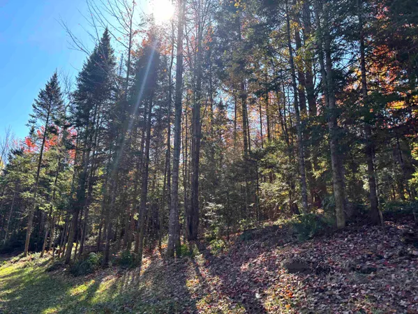 $110,000 | 0 Atwood Drive, Unit 3, Island Pond, VT 05846