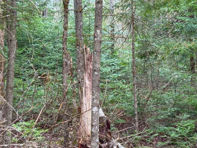 $110,000 | 0 Atwood Drive, Unit 3, Island Pond, VT 05846