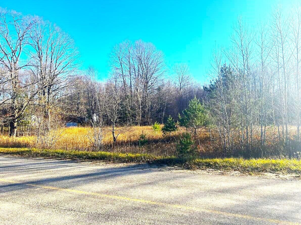 Northwest Garber And Canby Road Levering, MI 49755 - Photo 1 of 17 Gallery Image 1