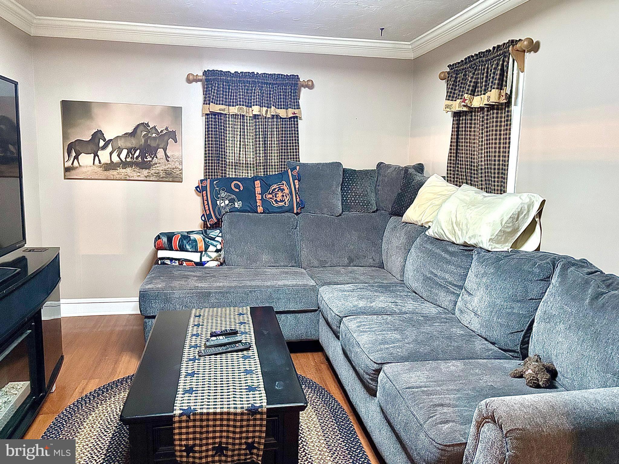 290 Woods Road Abbottstown, PA 17301 - Photo 11 of 49 a living room with furniture and a couch