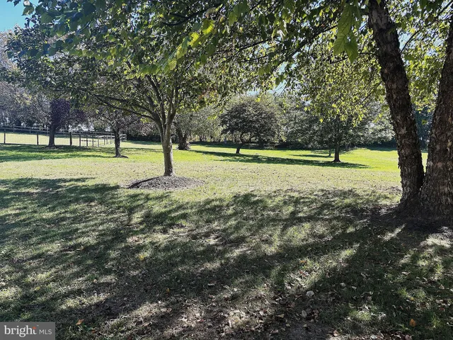 a view of green field with trees in the background