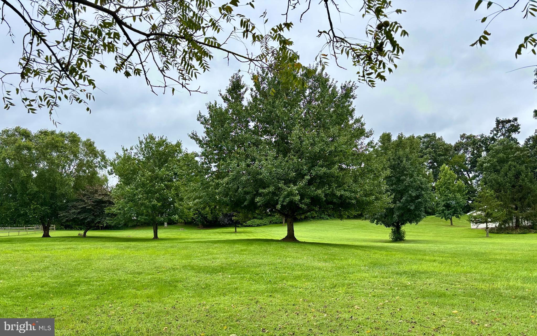 290 Woods Road Abbottstown, PA 17301 - Photo 8 of 49 a view of green field with trees in the background