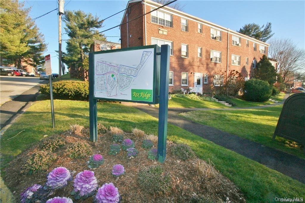 a view of a garden with a tree