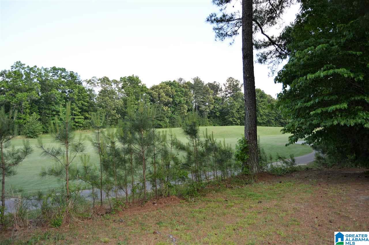 910 Sellers Hollow Road Dora, AL 35062 - Photo 44 of 47