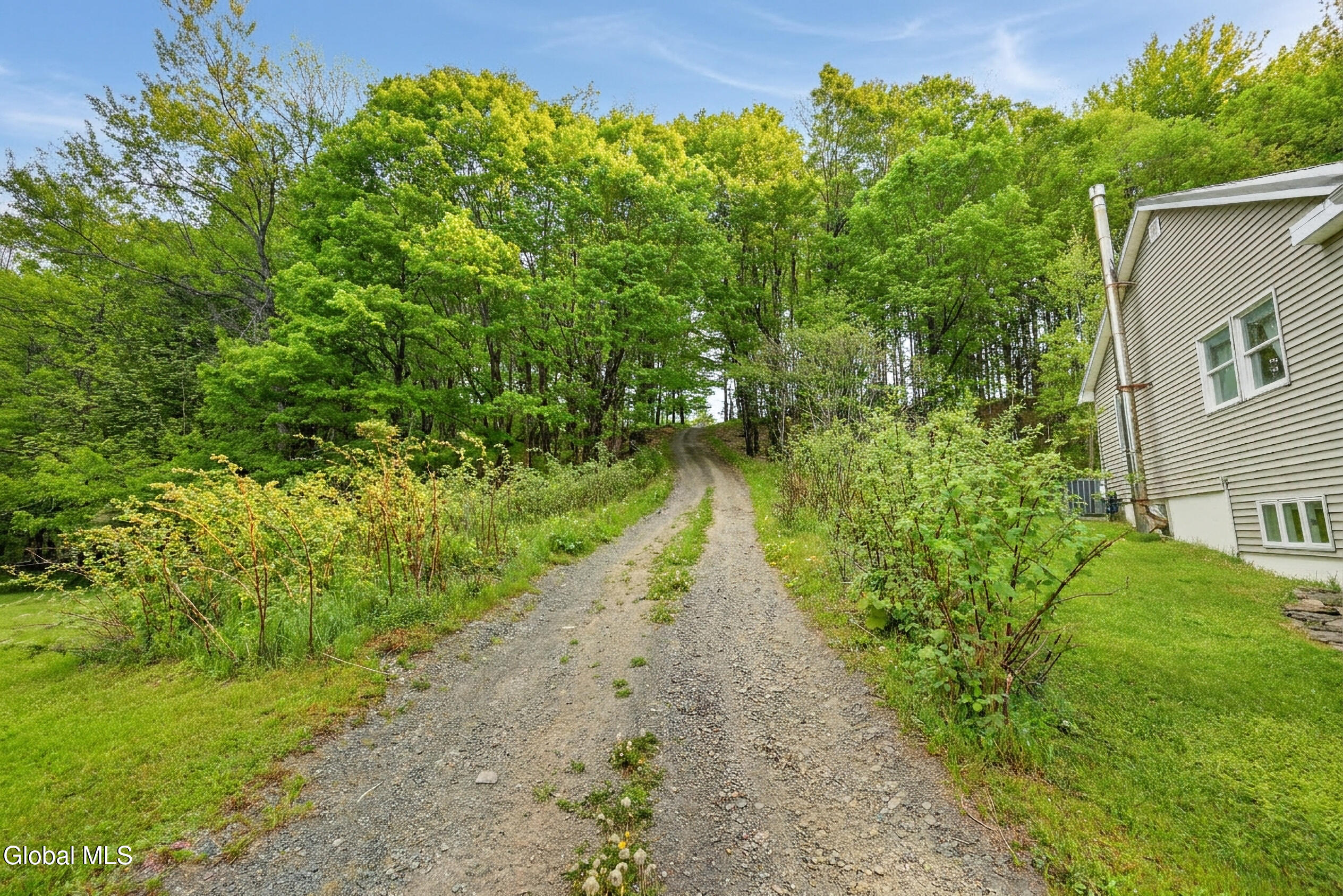 164 Zellner Road Summit, NY 12175 - Photo 81 of 102 164 Zellner Rd - Exterior-Camera-Drone-1