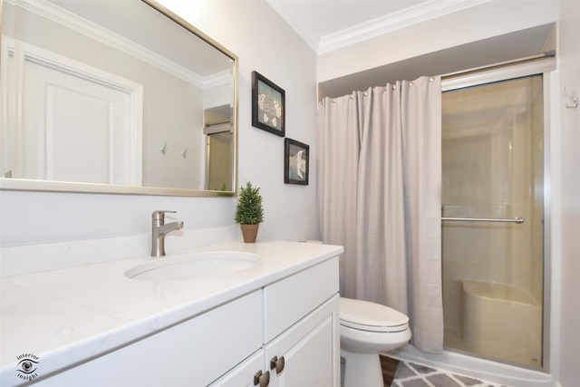 1536 Carlyle Road Naperville, IL 60564 - Photo 27 of 65 a bathroom with a sink toilet and shower