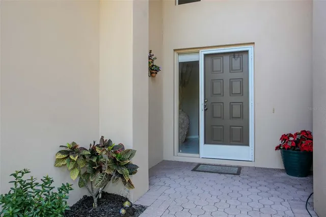 a potted plant sitting in front of a door