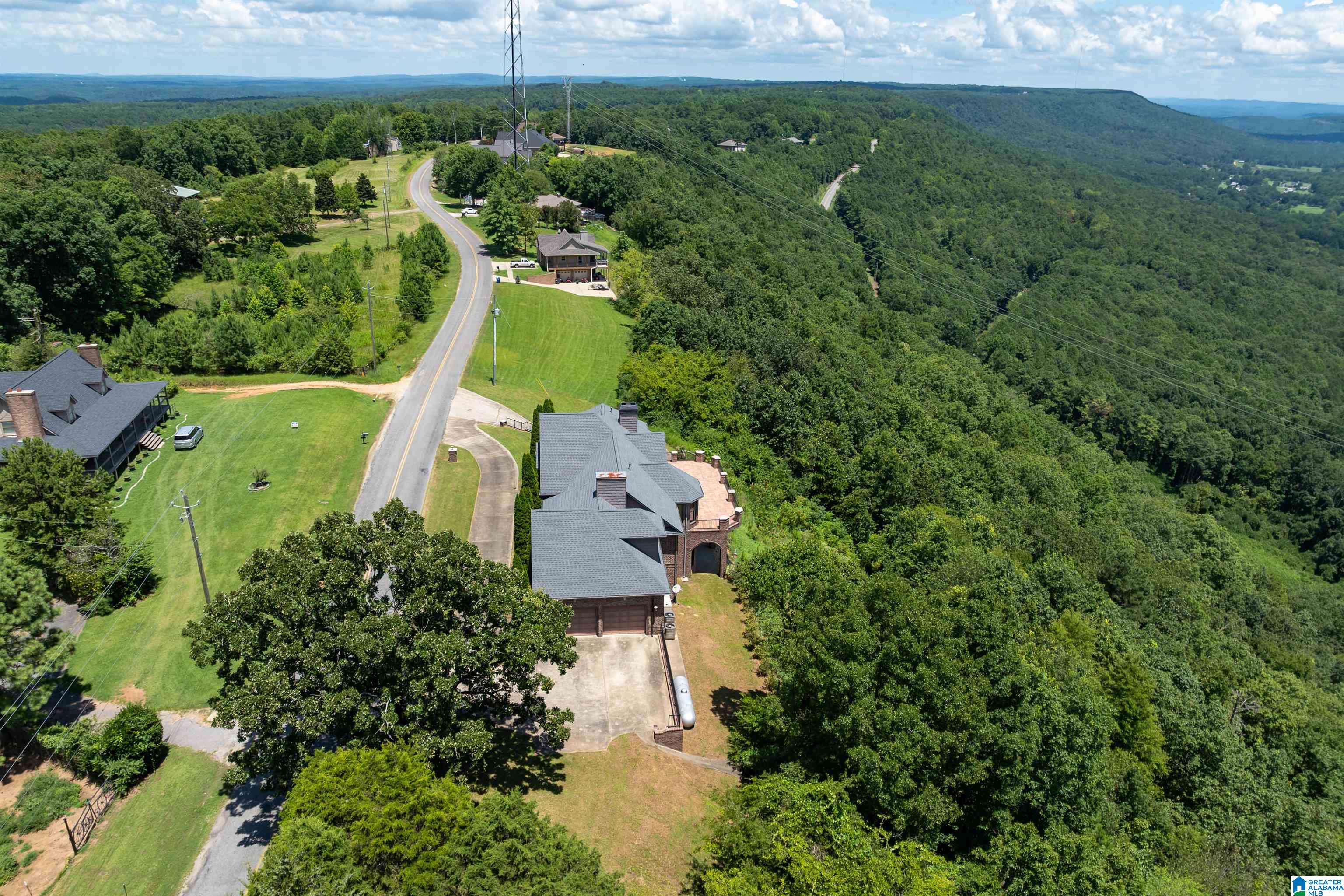 8378 Pine Mountain Road Springville, AL 35146 - Photo 53 of 59