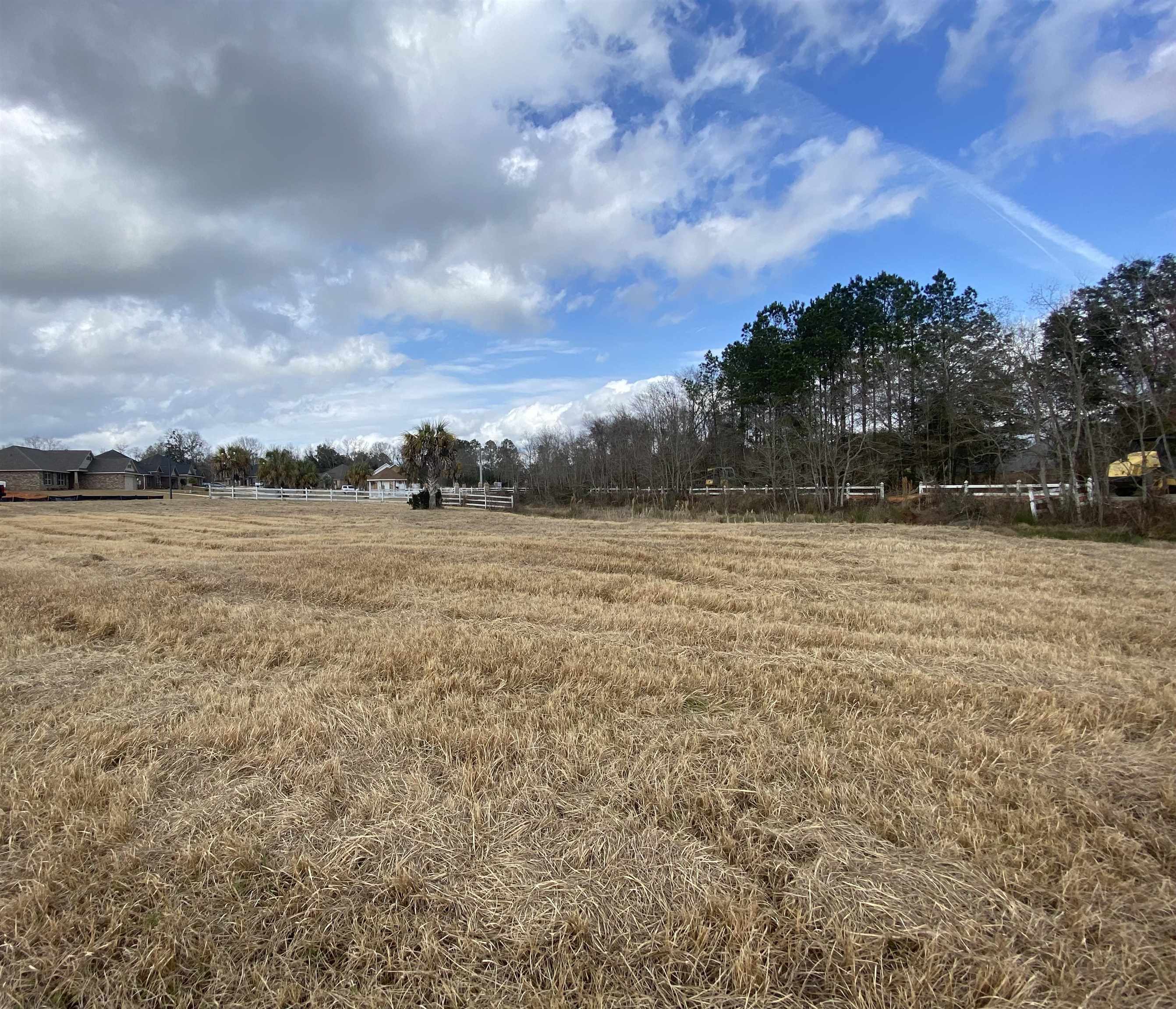 Lot 31 Edgewater Circle Loxley, AL 36551 - Photo 5 of 8