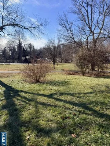 a view of a yard with large trees