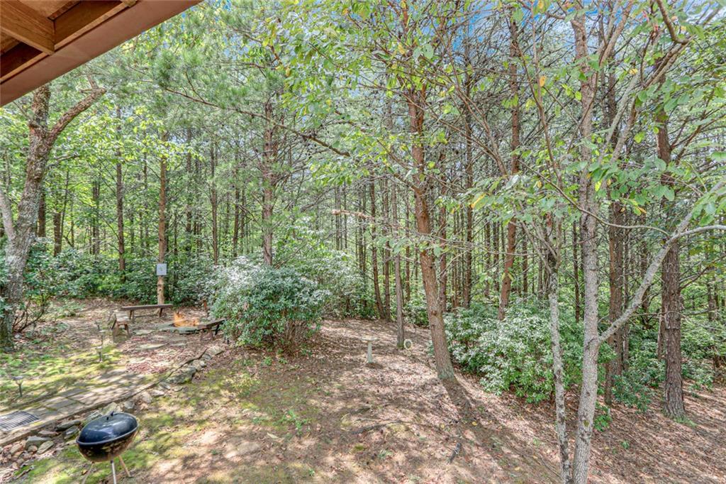 482 Monroe Ridge Road Sautee Nacoochee, GA 30571 - Photo 31 of 40