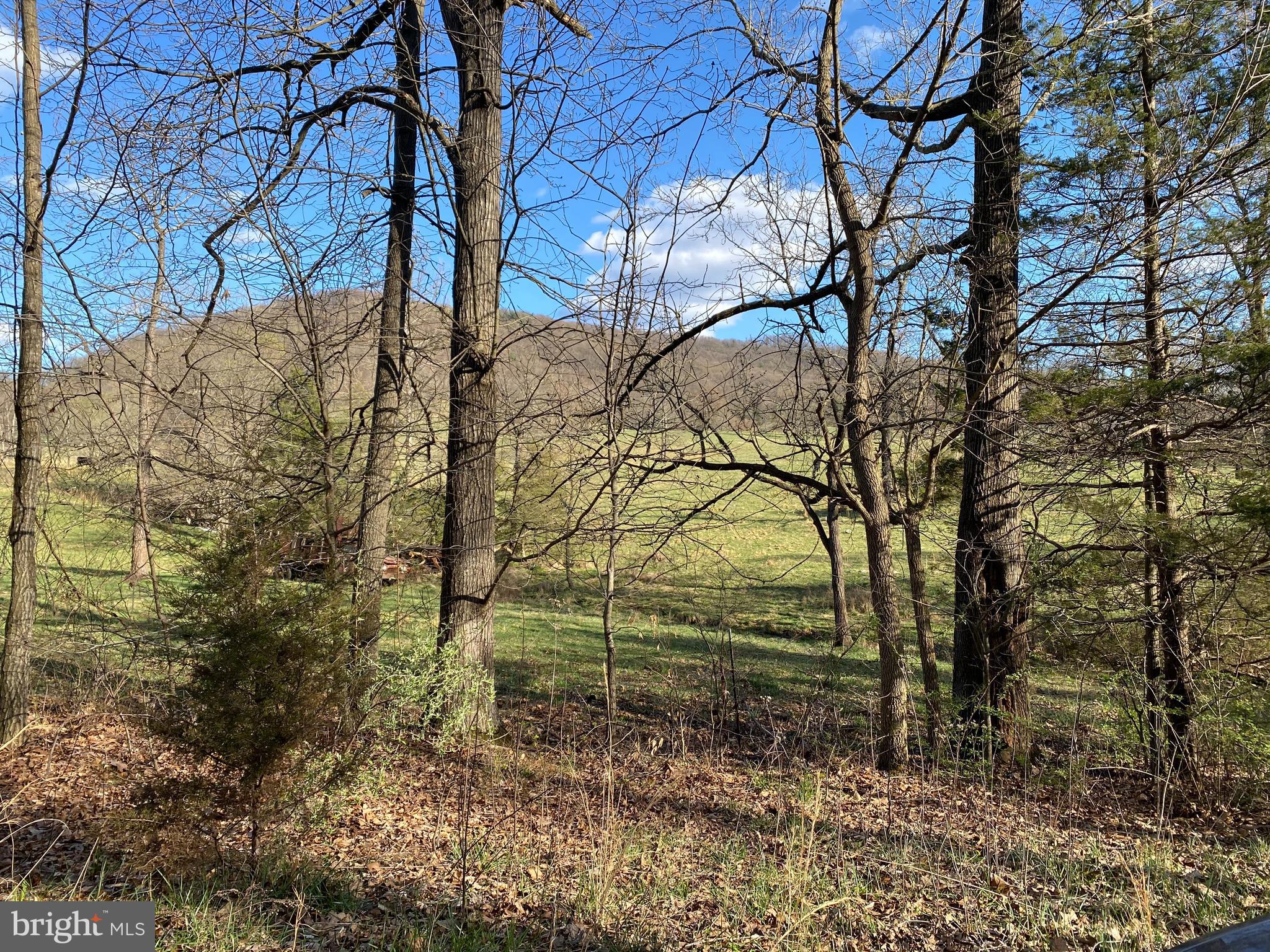 Lot 11 Jones Farm Road Bentonville, VA 22610 - Photo 1 of 10 View from the lot out the front