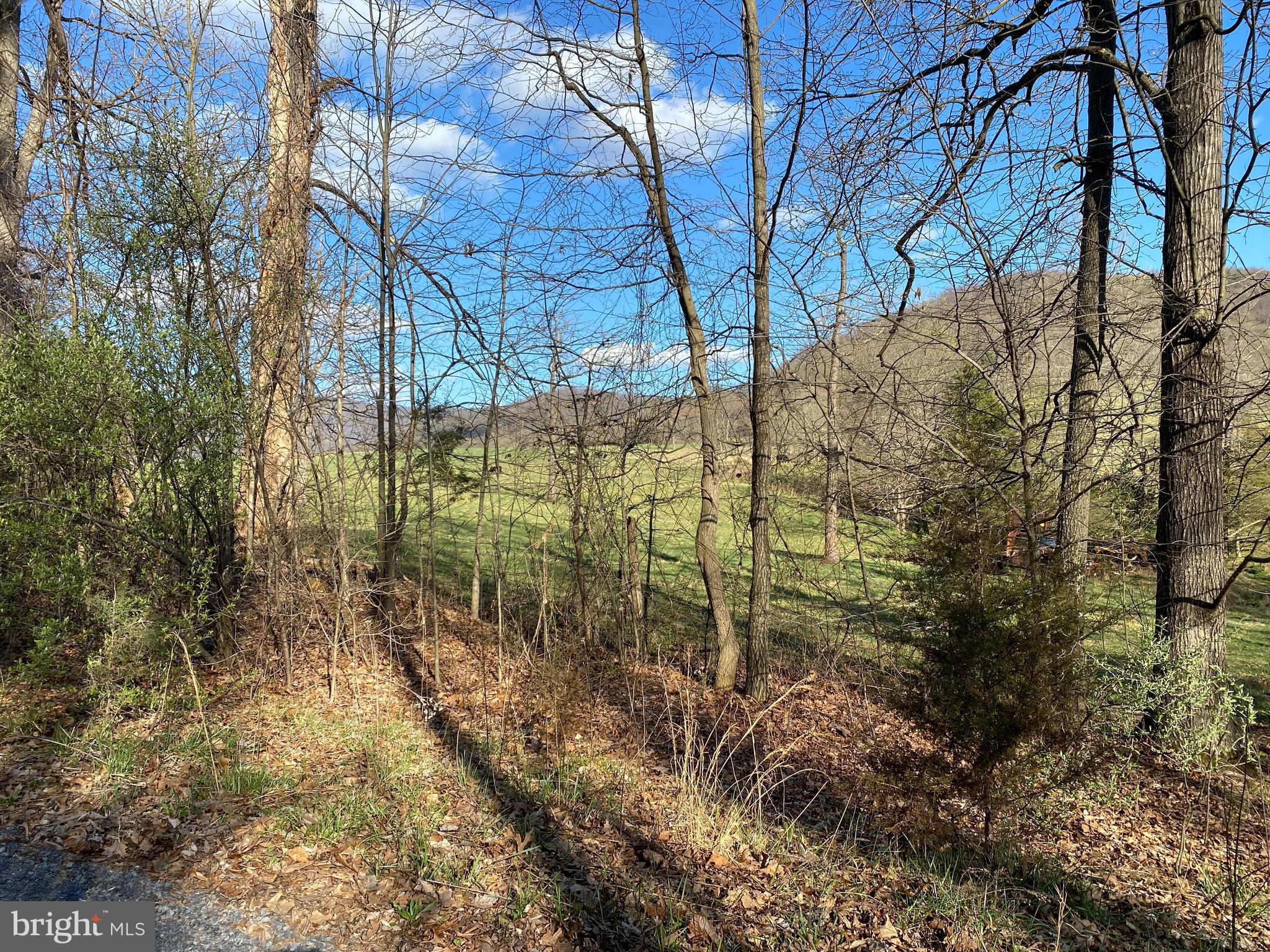 Lot 11 Jones Farm Road Bentonville, VA 22610 - Photo 3 of 10 View from the lot out the front