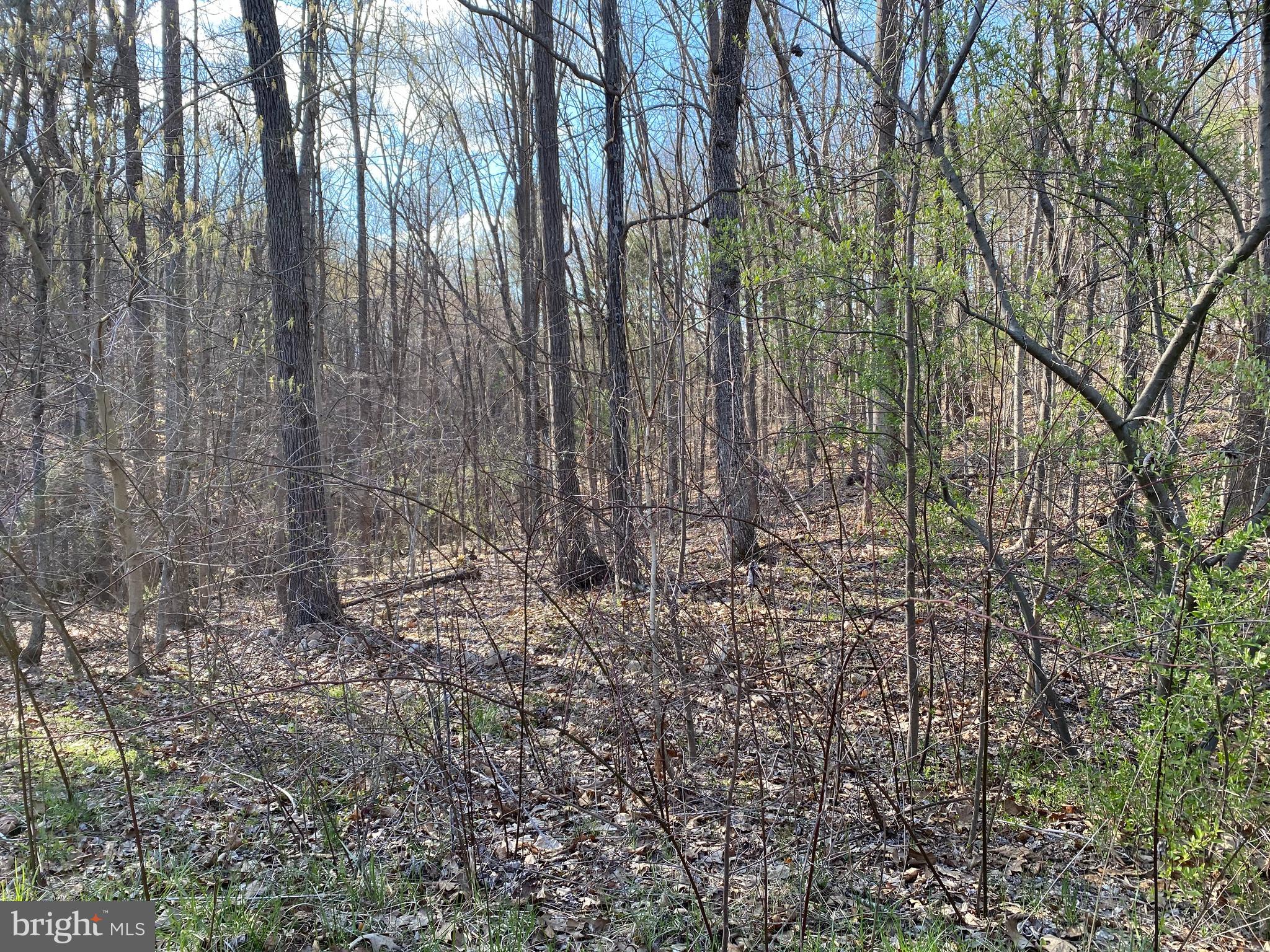 Lot 11 Jones Farm Road Bentonville, VA 22610 - Photo 4 of 10