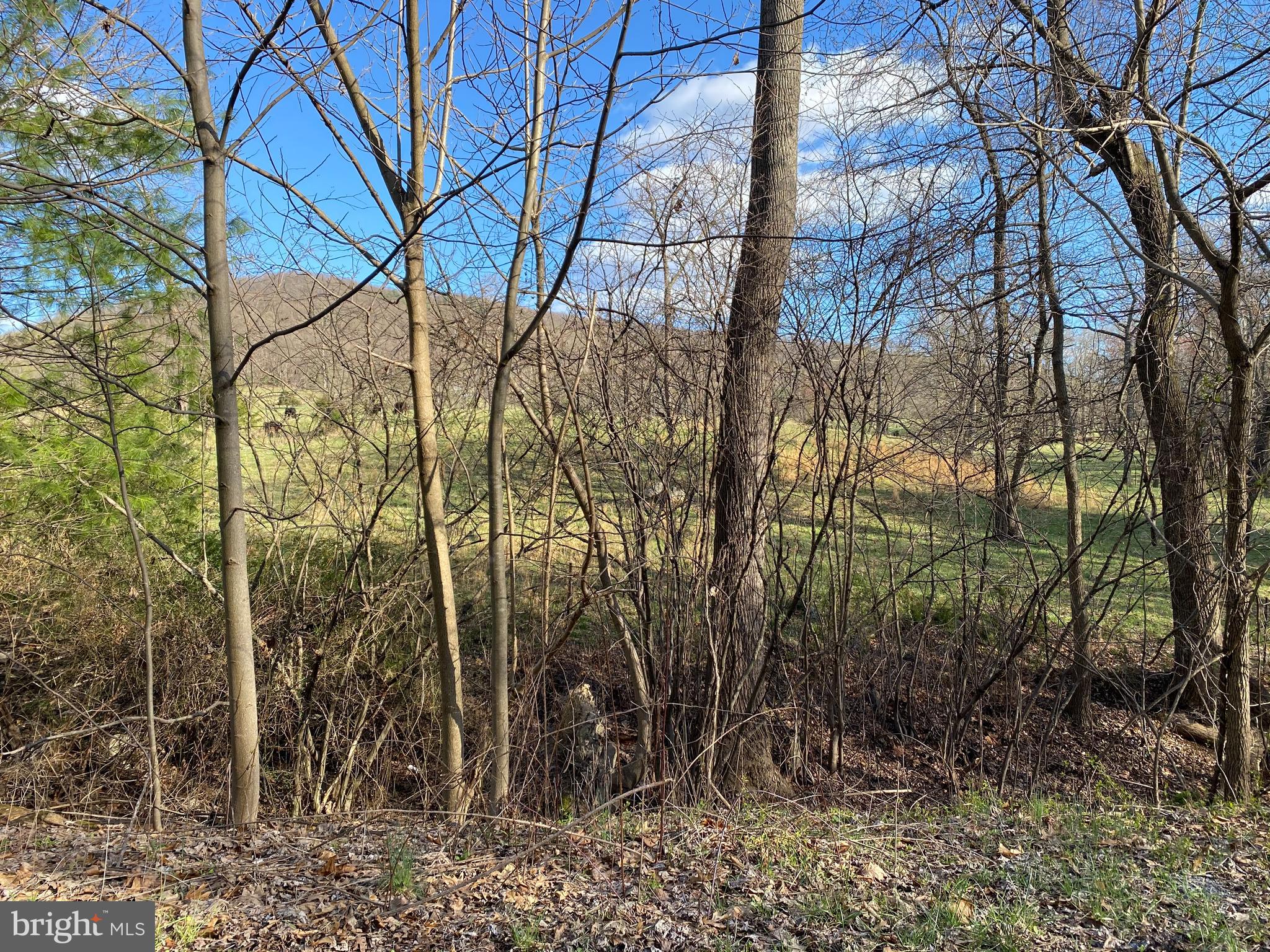 Lot 11 Jones Farm Road Bentonville, VA 22610 - Photo 5 of 10