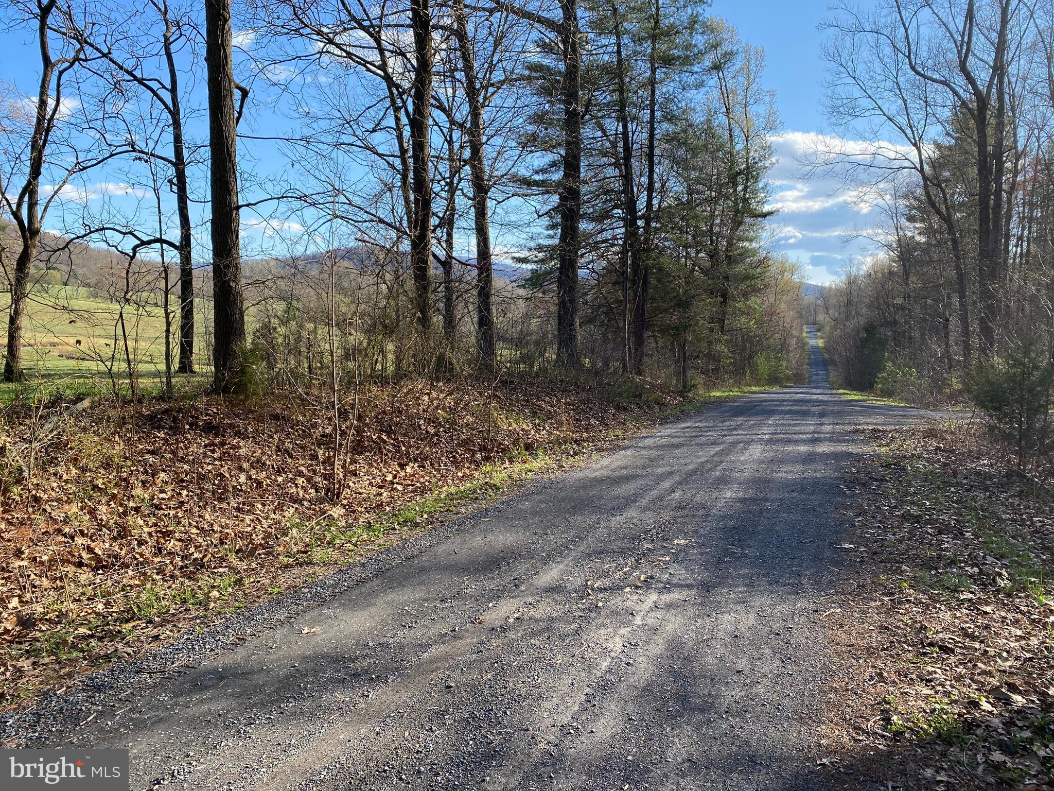 Lot 11 Jones Farm Road Bentonville, VA 22610 - Photo 6 of 10