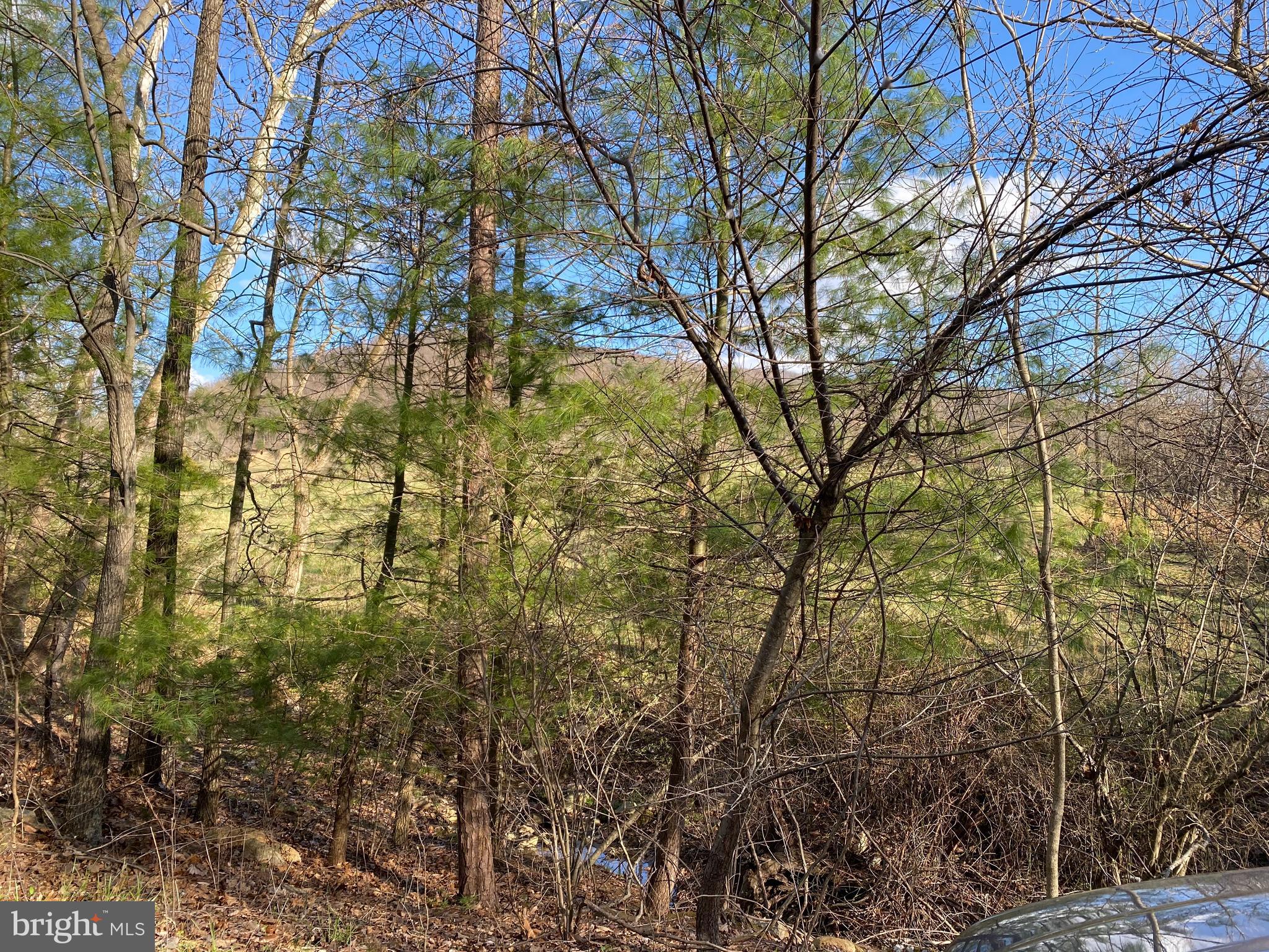 Lot 11 Jones Farm Road Bentonville, VA 22610 - Photo 7 of 10