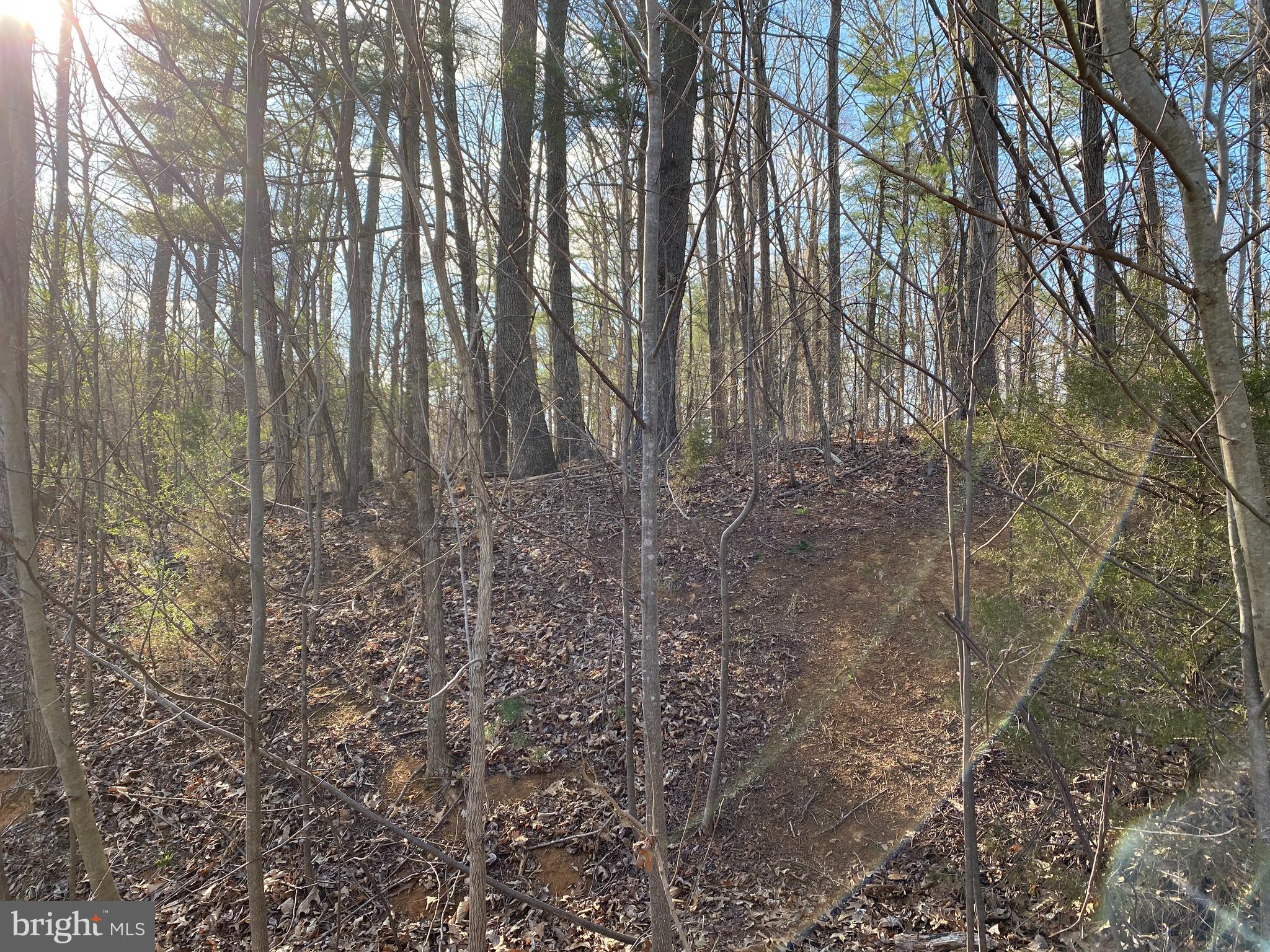 Lot 11 Jones Farm Road Bentonville, VA 22610 - Photo 8 of 10