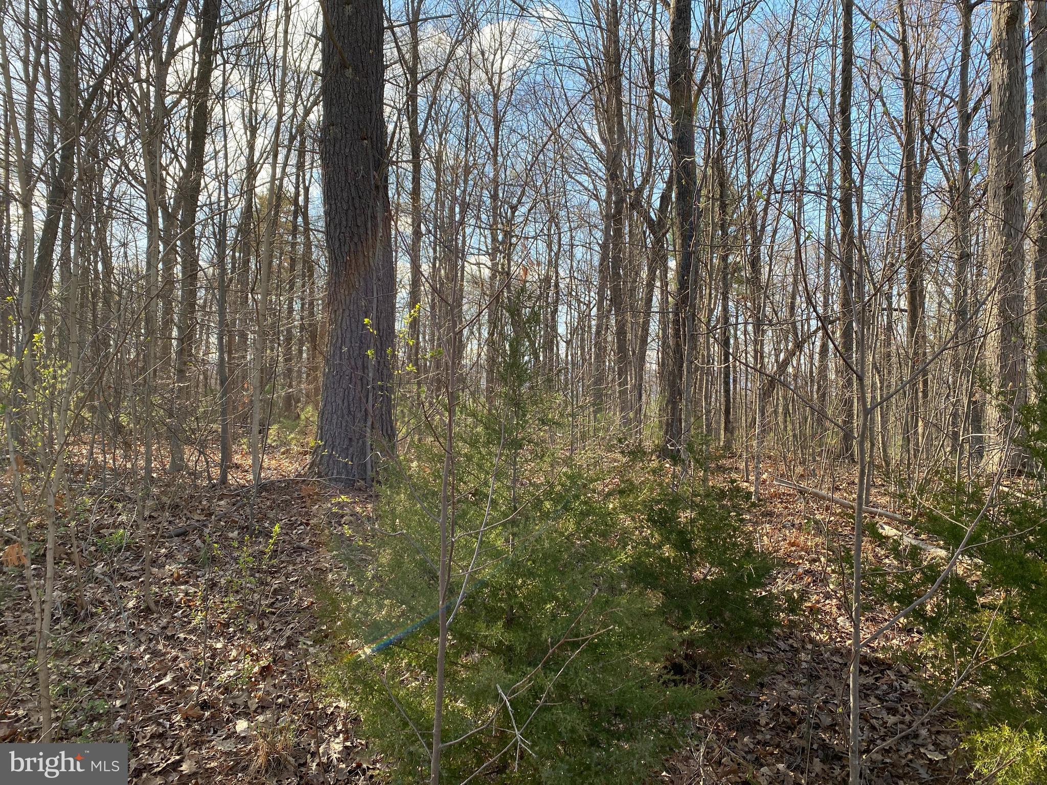 Lot 11 Jones Farm Road Bentonville, VA 22610 - Photo 10 of 10