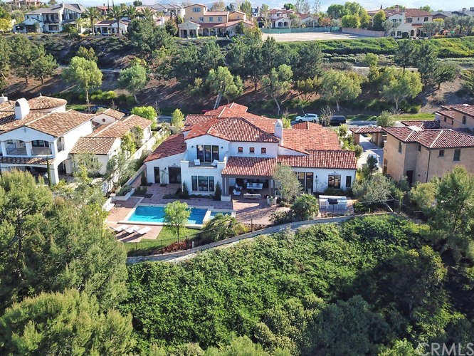 15 Columnar Street Ladera Ranch, CA 92694 - Photo 60 of 62