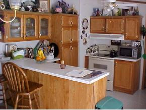 238 Shipley Road Gray, TN 37615 - Photo 5 of 9 Photo 5