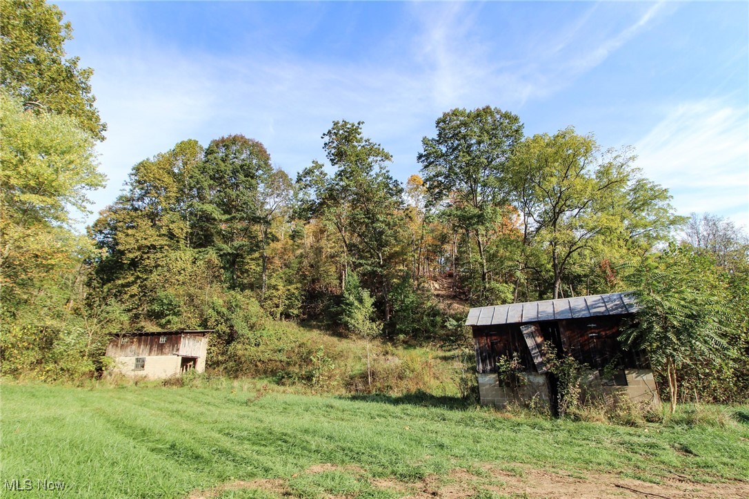 15999 State Route 26 Reno, OH 45773 - Photo 4 of 18 View of yard with an outdoor structure and a view of trees
