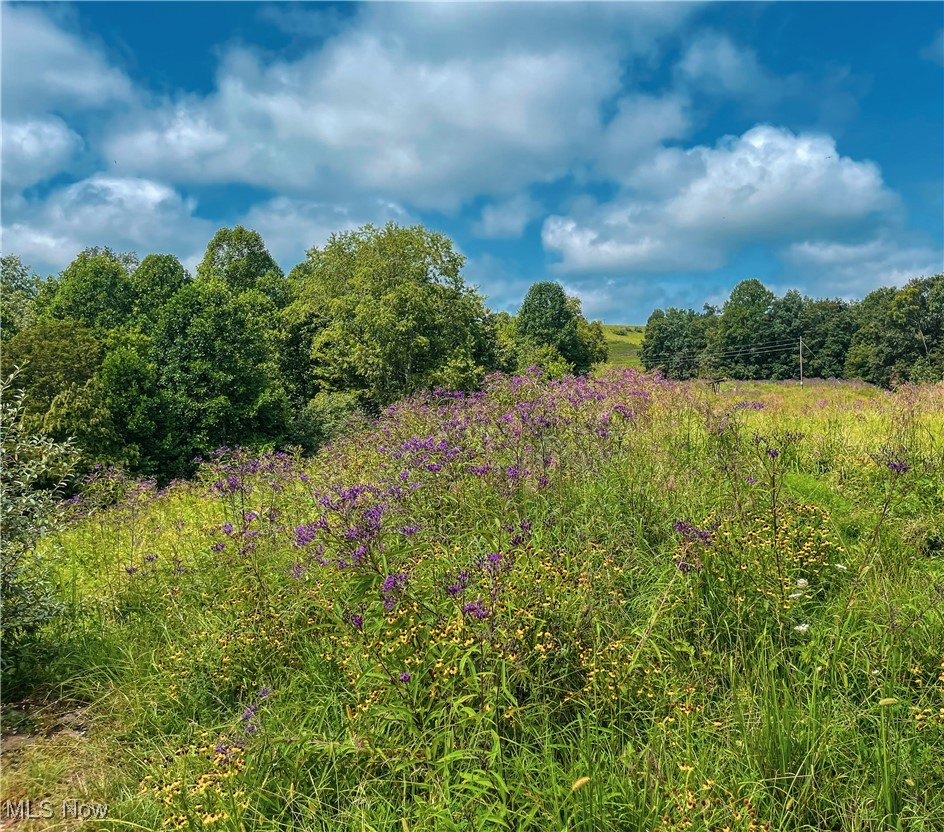226 Banner Hill Road Spencer, WV 25276 - Photo 26 of 35