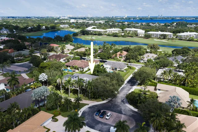 a view of a park with plants and palm trees
