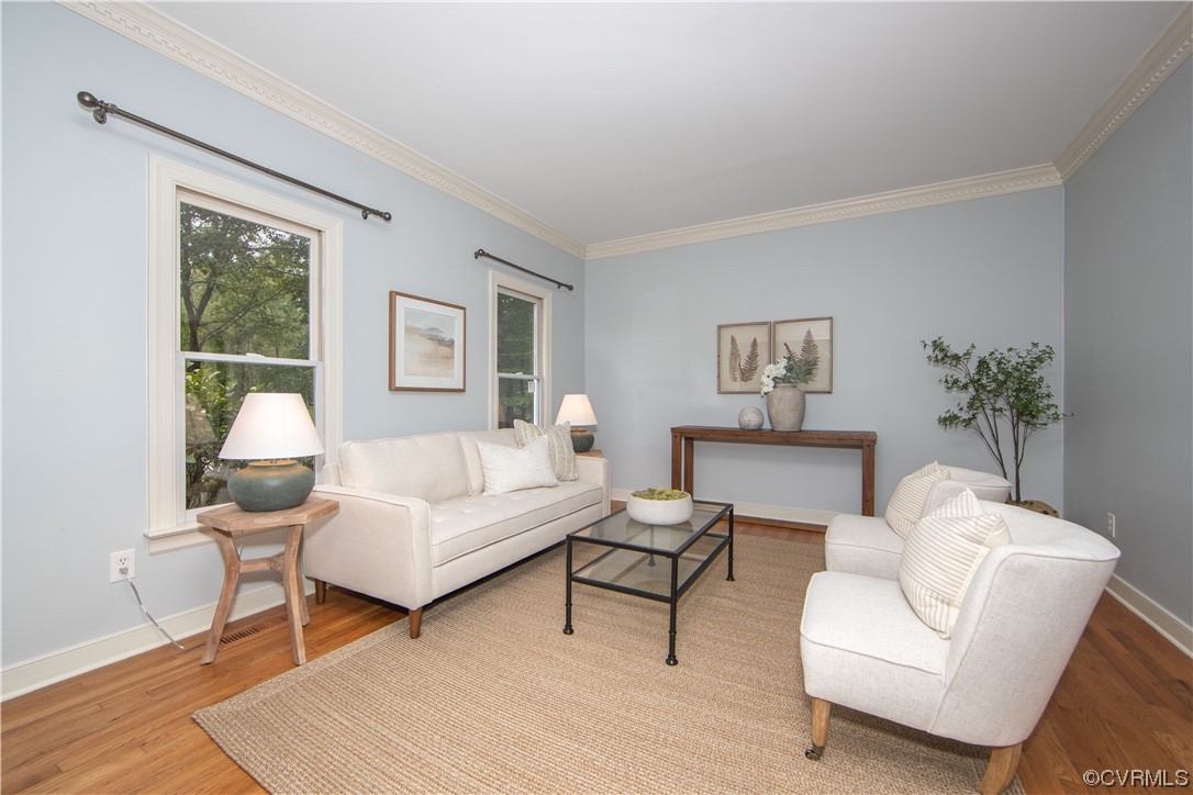 2425 Hartlepool Lane Midlothian, VA 23113 - Photo 10 of 44 a living room with furniture and a potted plant